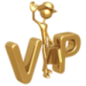 VIP Service